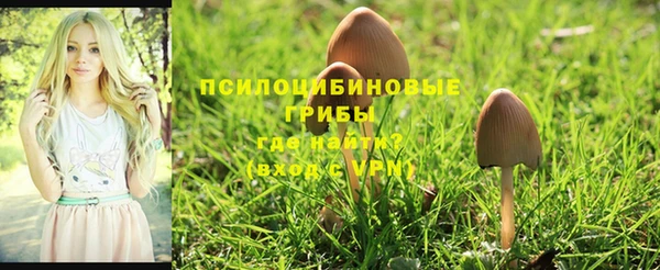 бутират Майский