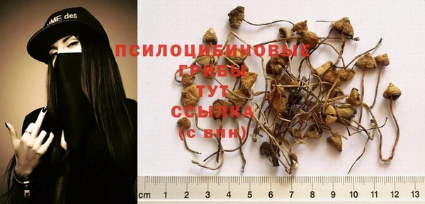 2c-b Лиски