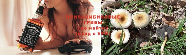 mix Магас