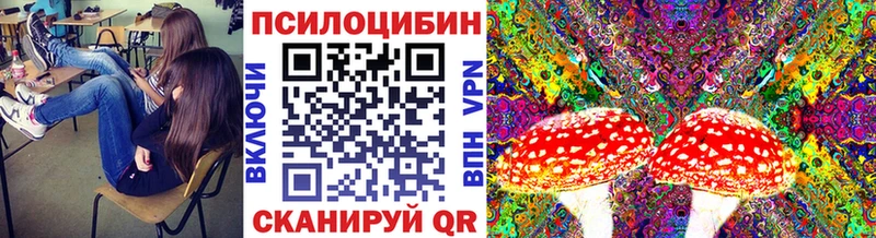 Псилоцибиновые грибы ЛСД  гидра рабочий сайт  Циолковский 