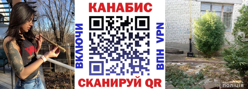 kraken ТОР  наркотики  Циолковский  Канабис индика 